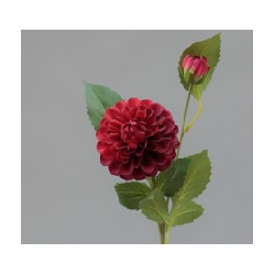 RAMO ZINNIA CM 60