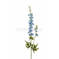 DELPHINIUM SPERONELLA SPRAY H87