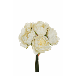 BUSH PEONIE H29