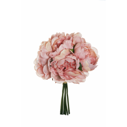 BUSH PEONIE H29