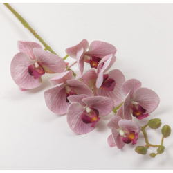 RAMO ORCHIDEA X7 FLWS CM70