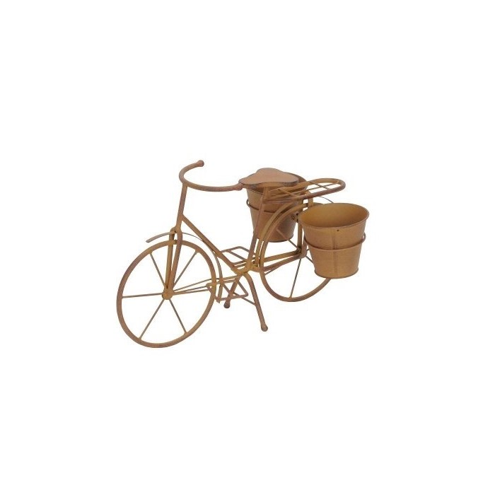 bicicletta porta fiori...